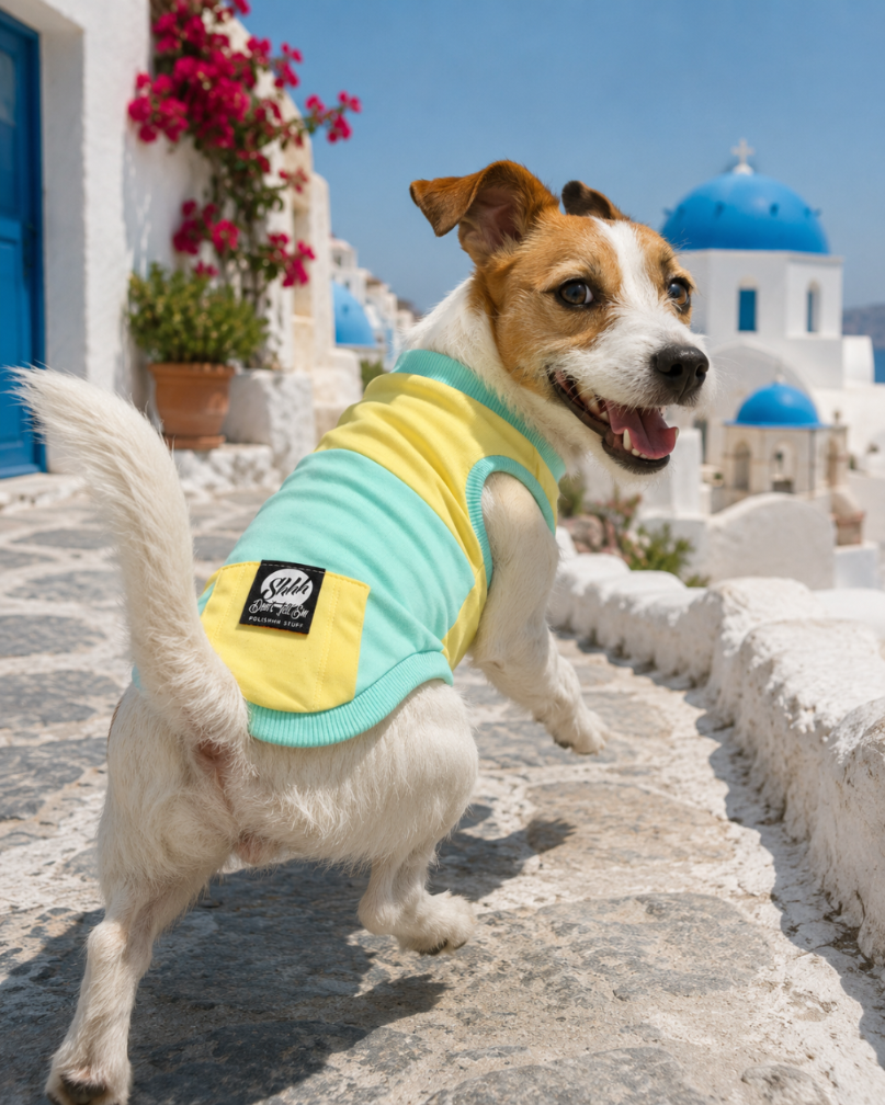 DOGWEAR 1 Yellow/Pistachio Shhh - dres dla Psa
